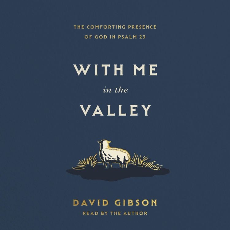 Produktbild: With Me in the Valley
