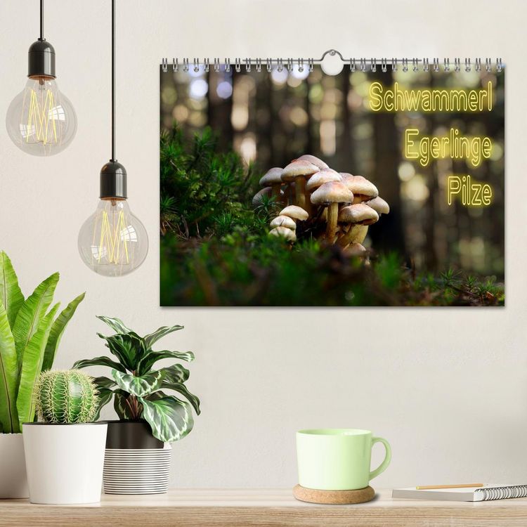 Produktbild: Schwammerl Egerlinge Pilze (Wandkalender 2026 DIN A4 quer), CALVENDO Monatskalender