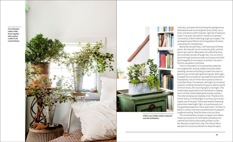 Produktbild: The Unexpected Houseplant
