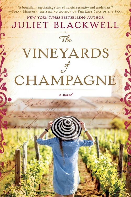 Produktbild: The Vineyards of Champagne