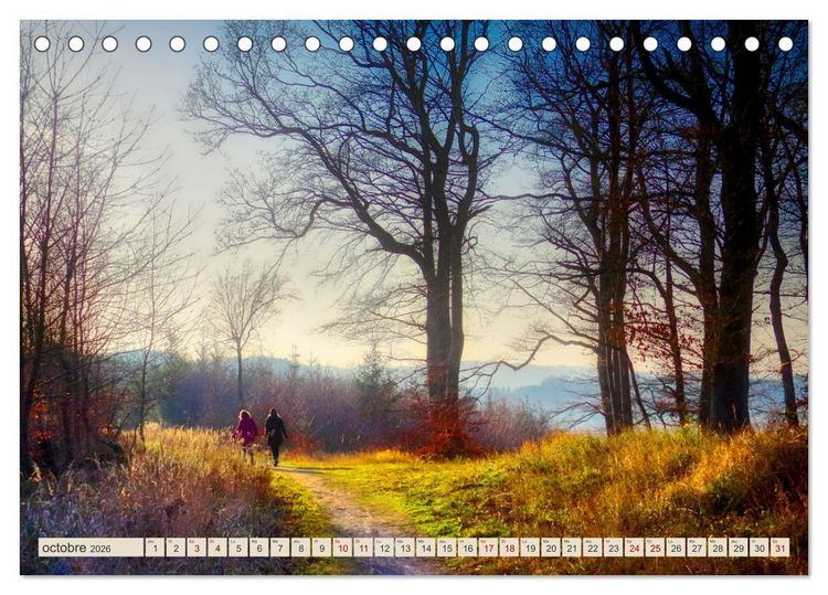 Produktbild: L'Allemagne, tes paysages (Calendrier de bureau 2026 DIN A5 vertical), CALVENDO calendrier mensuel