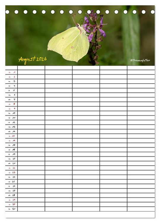 Produktbild: Schmetterlinge in Bayern (Tischkalender 2026 DIN A5 hoch), CALVENDO Monatskalender