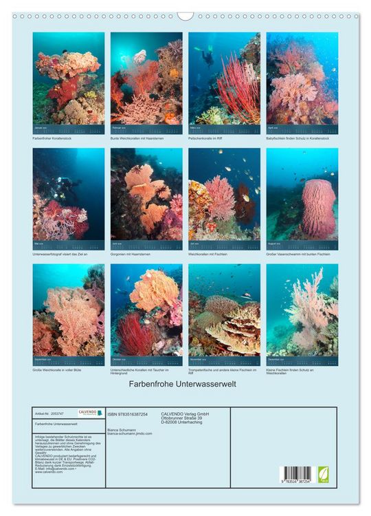 Produktbild: Farbenfrohe Unterwasserwelt (Wandkalender 2026 DIN A2 hoch), CALVENDO Monatskalender