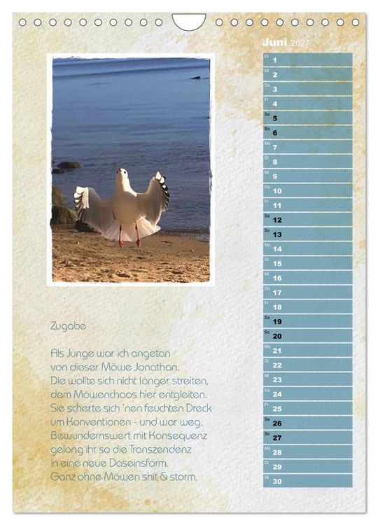 Produktbild: Wenn alle M&ouml;wen Emma hie&szlig;en... (Wandkalender 2027 DIN A4 hoch), CALVENDO Monatskalender