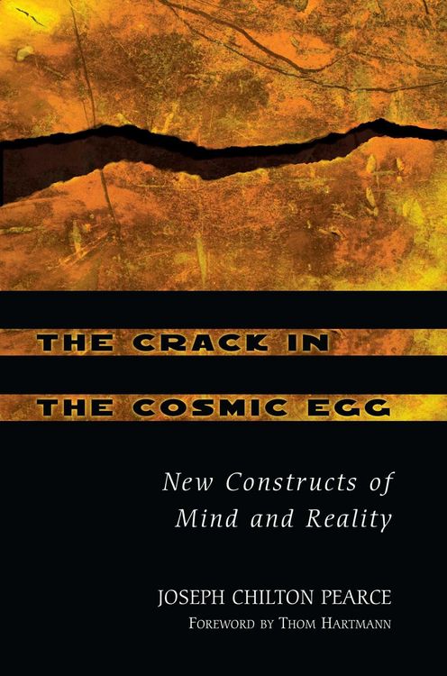 Produktbild: The Crack in the Cosmic Egg