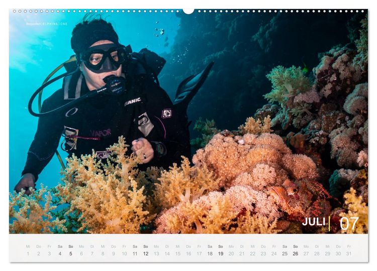 Produktbild: Einfach Tauchen - Wunderbare Tauchpl&auml;tze und Korallenriffe (Wandkalender 2026 DIN A2 quer), CALVENDO Monatskalender