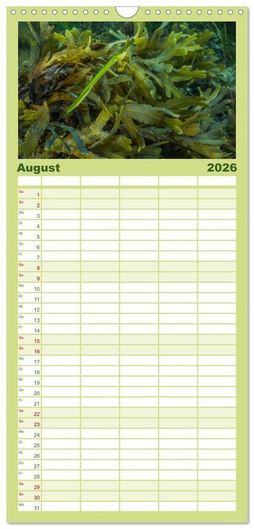Produktbild: Familienplaner 2026 - Unter Wasser rund um Fehmarn mit 5 Spalten (Wandkalender, 21 x 45 cm) CALVENDO