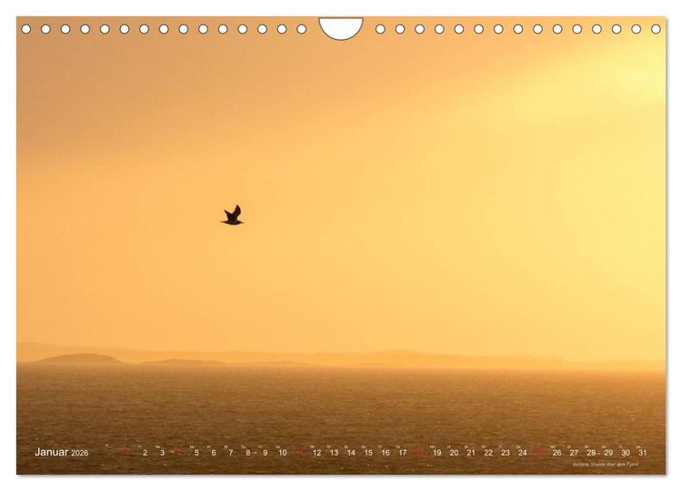 Produktbild: Hurtigruten im Winter - Hunting the light (Wandkalender 2026 DIN A4 quer), CALVENDO Monatskalender