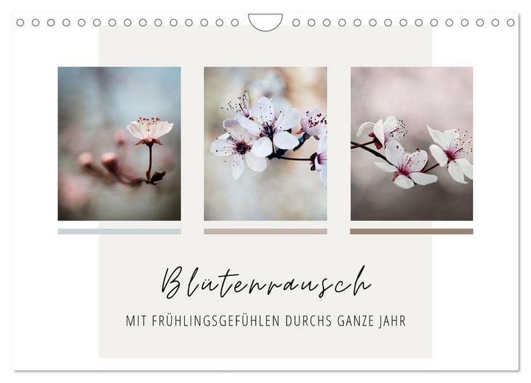 Produktbild: Bl&uuml;tenrausch - Mit Fr&uuml;hlingsgef&uuml;hlen durchs ganze Jahr (Wandkalender 2026 DIN A4 quer), CALVENDO Monatskalender