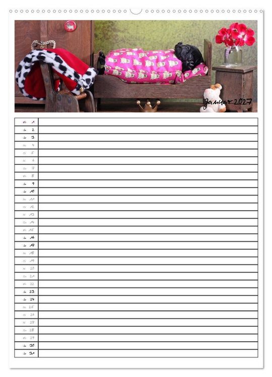 Produktbild: Der mopsige Familienplaner (Wandkalender 2027 DIN A2 hoch), CALVENDO Monatskalender