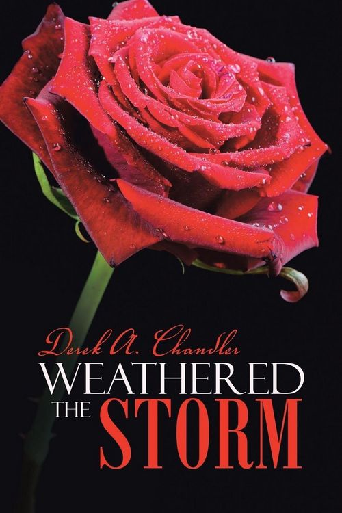 Produktbild: Weathered the Storm