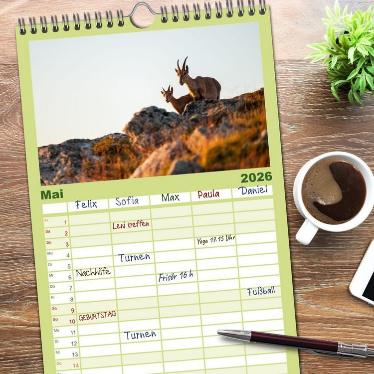 Produktbild: Familienplaner 2026 - Steinbock - K&ouml;nig der Alpen mit 5 Spalten (Wandkalender, 21 x 45 cm) CALVENDO