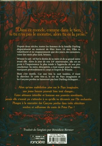 Produktbild: The never king