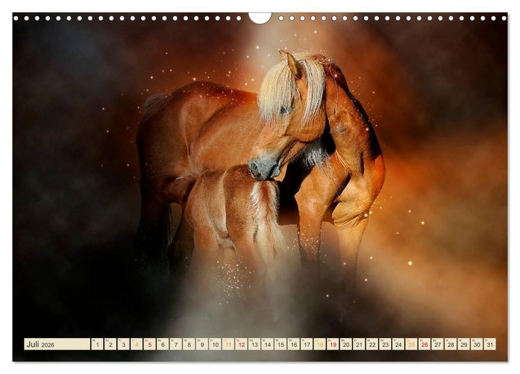 Produktbild: Eleganz und Sch&ouml;nheit - Pferde (Wandkalender 2026 DIN A3 quer), CALVENDO Monatskalender