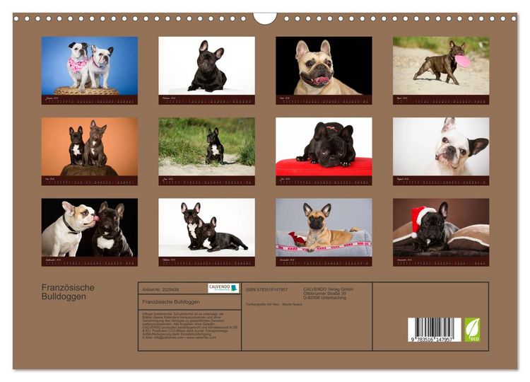 Produktbild: Franz&ouml;sische Bulldoggen (Wandkalender 2026 DIN A3 quer), CALVENDO Monatskalender