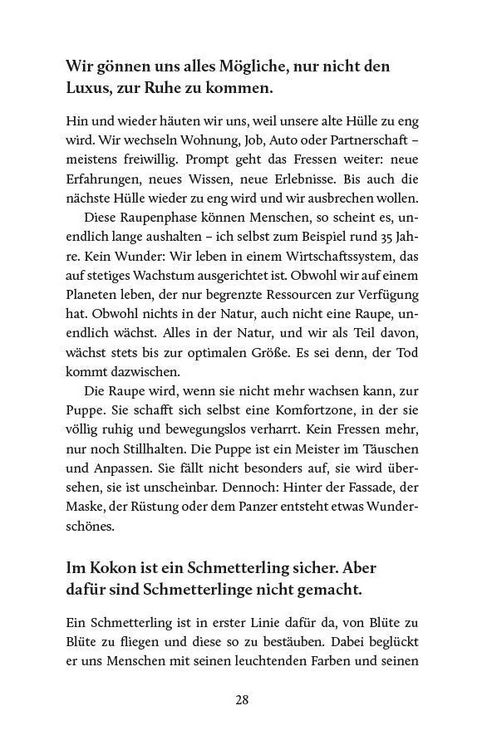 Produktbild: Schmetterlinge fallen nicht vom Himmel