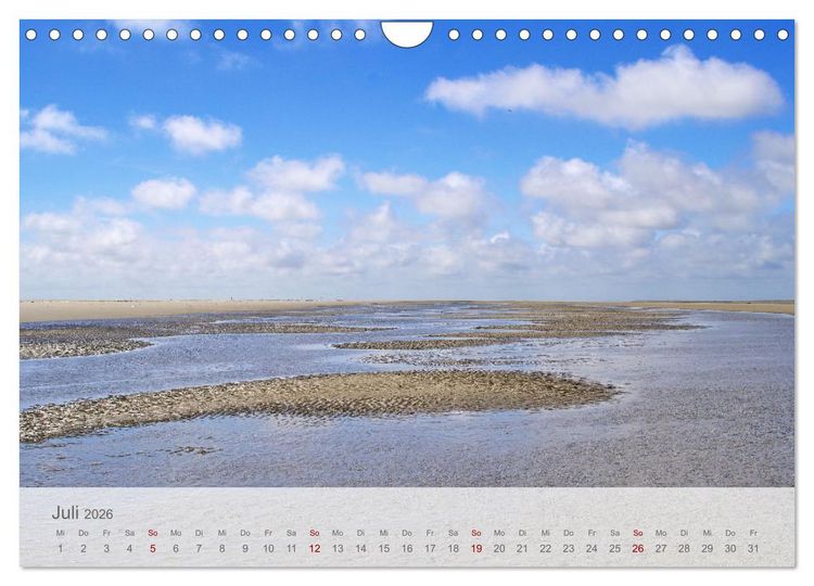 Produktbild: Salzwiesen, Schafe und Watt - Westerhever, ein Naturparadies an der Nordsee (Wandkalender 2026 DIN A4 quer), CALVENDO Monatskalender