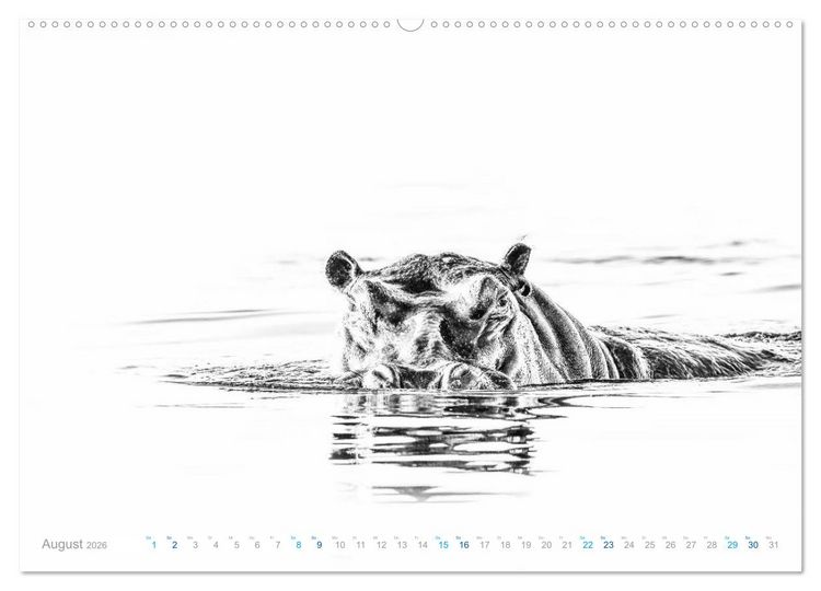 Produktbild: AFRIKA - Schwarz-weiss Fotografien im modernen "High Key" Look (Wandkalender 2026 DIN A2 quer), CALVENDO Monatskalender