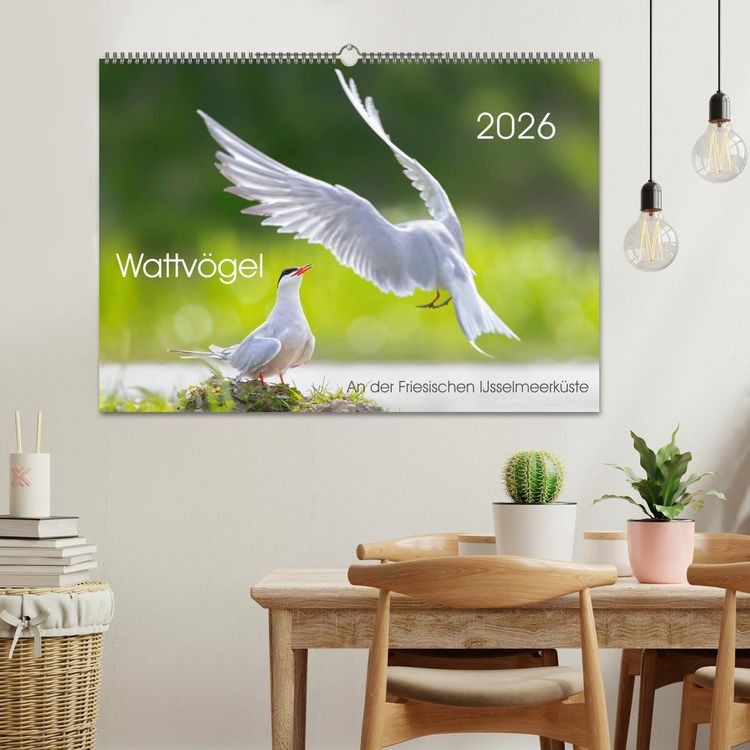 Produktbild: Wattv&ouml;gel an der Friesischen IJsselmeerk&uuml;ste (Wandkalender 2026 DIN A2 quer), CALVENDO Monatskalender