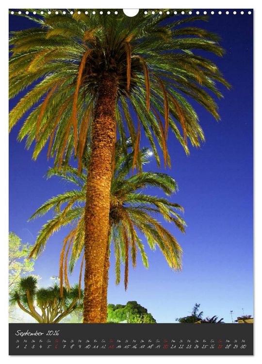 Produktbild: TENERIFFA (Wandkalender 2026 DIN A3 hoch), CALVENDO Monatskalender