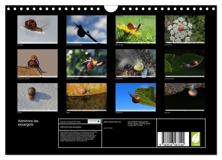 Produktbild: Admirons les escargots (Calendrier mural 2026 DIN A4 vertical), CALVENDO calendrier mensuel