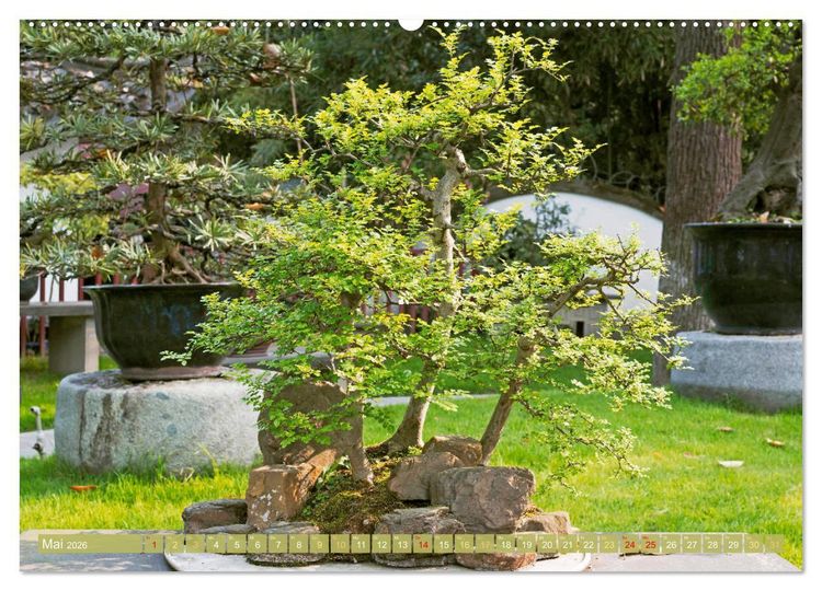 Produktbild: Gartenkunst aus Japan: Bonsai (hochwertiger Premium Wandkalender 2026 DIN A2 quer), Kunstdruck in Hochglanz