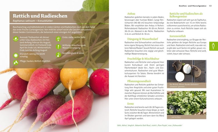 Produktbild: Bio-Gem&uuml;se-Ratgeber