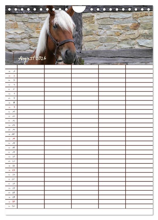 Produktbild: Der Kaltblut-Familienplaner (Wandkalender 2026 DIN A4 hoch), CALVENDO Monatskalender