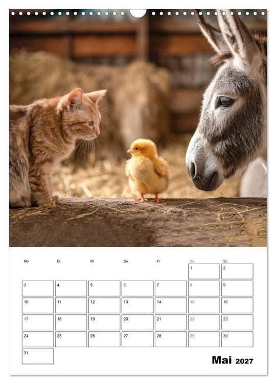 Produktbild: Ein Herz und eine Schnauze - Ein tierisch buntes Miteinander (Wandkalender 2027 DIN A3 hoch), CALVENDO Monatskalender