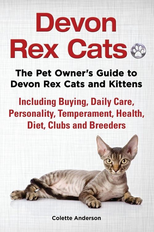Produktbild: Devon Rex Cats The Pet Owner's Guide to Devon Rex Cats and Kittens Including Buying, Daily Care, Personality, Temperament, Health, Diet, Clubs and Bre