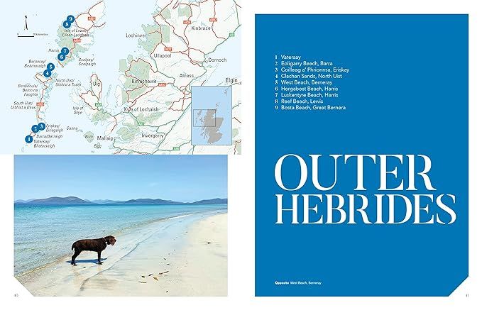 Produktbild: Swimming Wild in Scotland