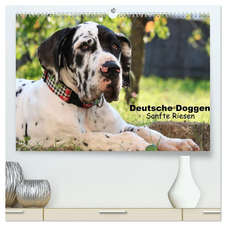Produktbild: Deutsche Doggen - Sanfte Riesen (hochwertiger Premium Wandkalender 2026 DIN A2 quer), Kunstdruck in Hochglanz
