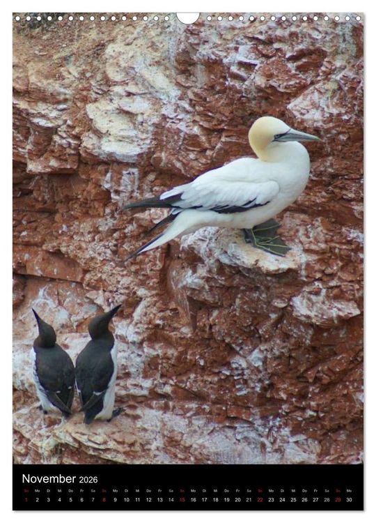 Produktbild: Helgoland in der Nordsee (Wandkalender 2026 DIN A3 hoch), CALVENDO Monatskalender