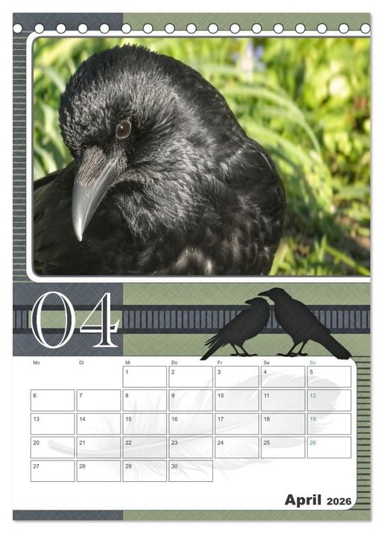 Produktbild: Kr&auml;hen - Clever notiert! Mit K&ouml;pfchen durchs ganze Jahr (Tischkalender 2026 DIN A5 hoch), CALVENDO Monatskalender