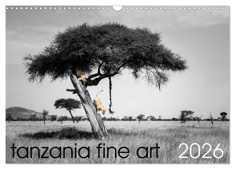 Produktbild: tanzania fine art (Wall Calendar 2026 DIN A3 landscape), CALVENDO 12 Month Wall Calendar