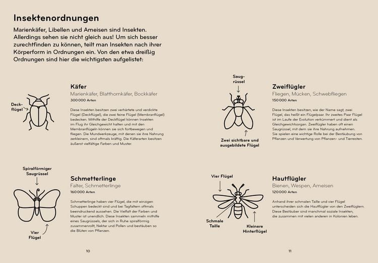 Produktbild: Insektorama