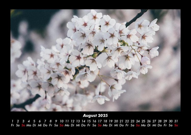 Produktbild: Blumentr&auml;ume 2025 Fotokalender DIN A3