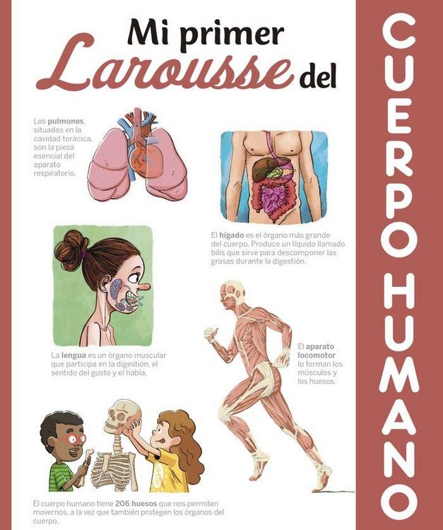 Produktbild: Mi primer Larousse del cuerpo humano
