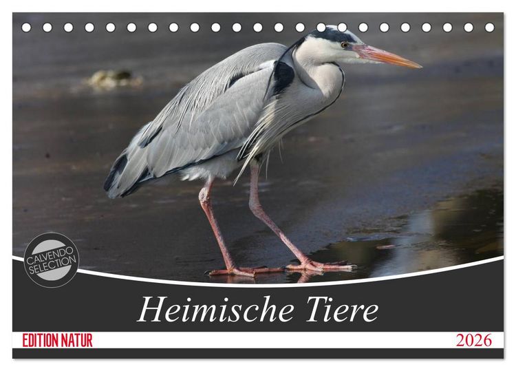 Produktbild: Heimische Tiere (Tischkalender 2026 DIN A5 quer), CALVENDO Monatskalender