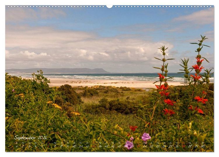 Produktbild: Am Kap von S&uuml;dafrika (Wandkalender 2026 DIN A2 quer), CALVENDO Monatskalender