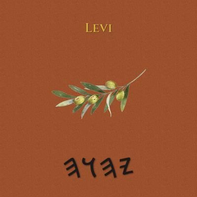Produktbild: Levi