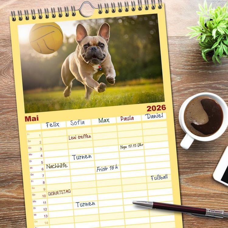 Produktbild: Familienplaner 2026 - Bullys in Action - Franz&ouml;sische Bulldoggen lieben B&auml;lle mit 5 Spalten (Wandkalender, 21 x 45 cm) CALVENDO