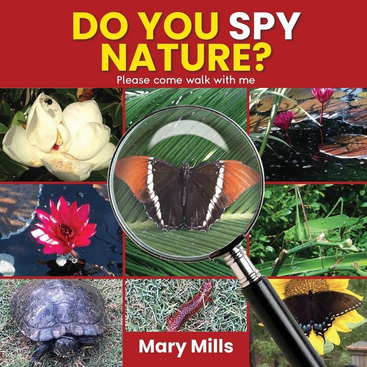 Produktbild: Do You Spy Nature ? Please Come Walk With Me