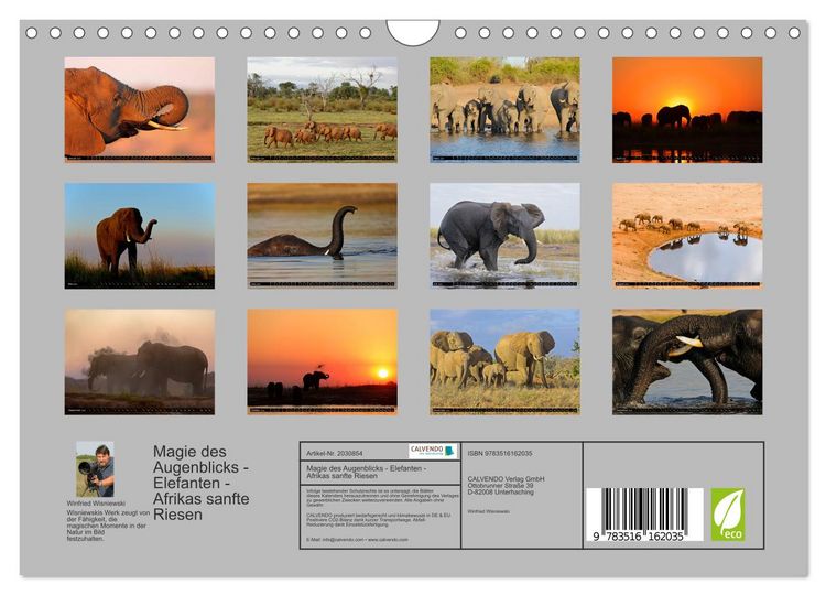 Produktbild: Magie des Augenblicks - Elefanten - Afrikas sanfte Riesen (Wandkalender 2026 DIN A4 quer), CALVENDO Monatskalender