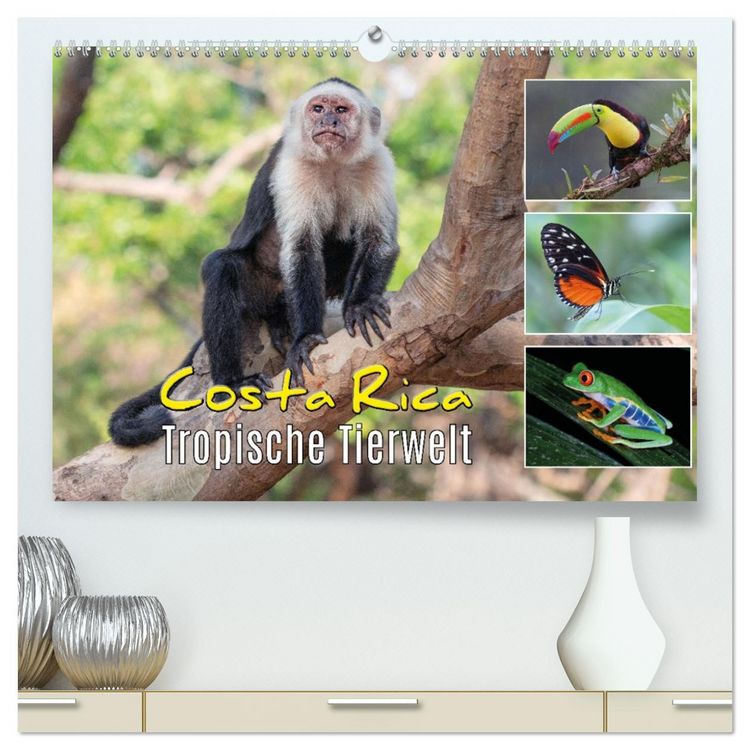 Produktbild: Costa Rica - Tropische Tierwelt (hochwertiger Premium Wandkalender 2026 DIN A2 quer), Kunstdruck in Hochglanz