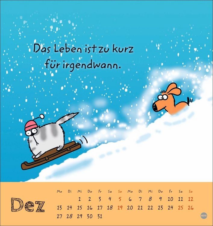 Produktbild: Catzz Postkartenkalender 2027