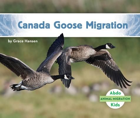 Produktbild: Canada Goose Migration