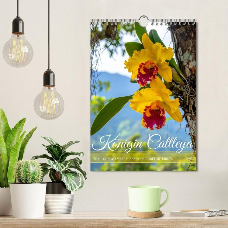 Produktbild: K&ouml;nigin Cattleya (Wandkalender 2027 DIN A4 hoch), CALVENDO Monatskalender
