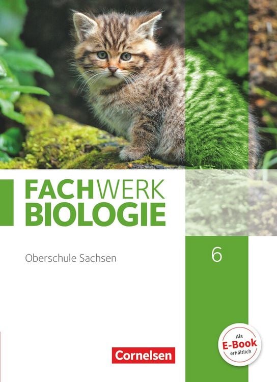 Produktbild: Fachwerk Biologie 6. Schuljahr - Sachsen - Schülerbuch