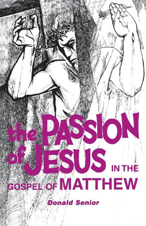 Produktbild: Passion of Jesus in the Gospel of Matthew